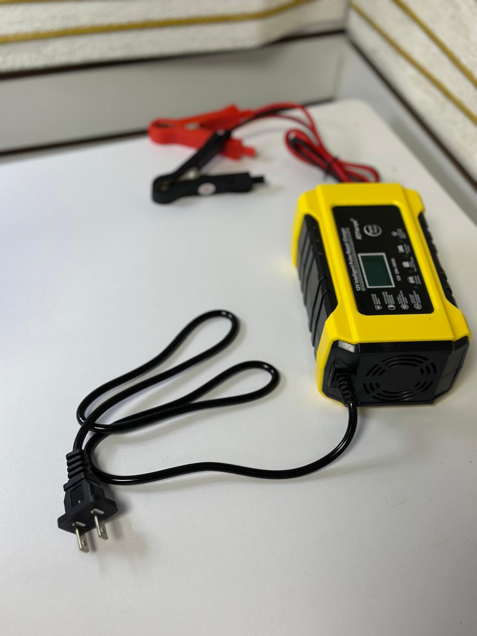 Cargador de Bateria de Pulsos 12V