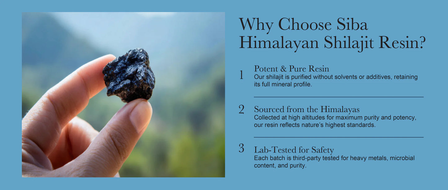 SHILAJIT DEL HIMALAYA EN RESINA 50G