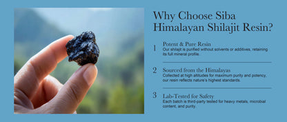 SHILAJIT DEL HIMALAYA EN RESINA 50G
